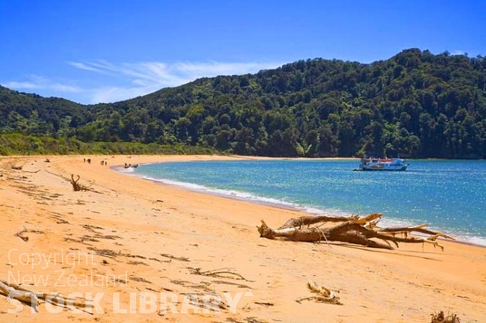 Totaranui;Able Tasman National Park;Tasman Bay;sand dunes;sandy beaches;rocky shorelines;beach;beach front;bluffs;cliffs;boating;bush;native forrest;golden sands;camping grounds;camp site;ferry