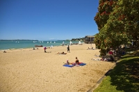 Auckland_East;Kohimarama_Beach;Auckland;Tamaki_Strait;crowds;sunbathers;Yachting