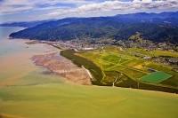 Aerial;Thames;Coromandel;sandy_beaches;bachs;holiday_homes;blue_sky;blue_sea;bus