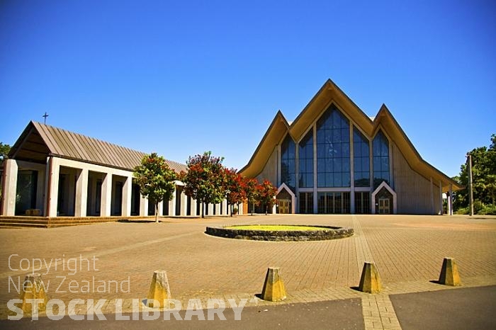 Parnell;Auckland Central;Auckland Cathedral;floweringPohutukawa trees;New Zealand Christmas Tree;Pohutukawa tree