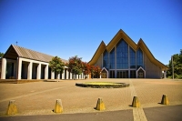 Parnell;Auckland_Central;Auckland_Cathedral;floweringPohutukawa_trees;New_Zealan