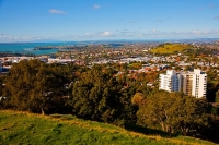 Auckland_Central;Newmarket;Mt_Eden