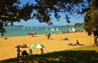 Auckland_East;Auckland;Kohimarama_Beach;Tamaki_Strait;crowds;sunbathers;Yachting