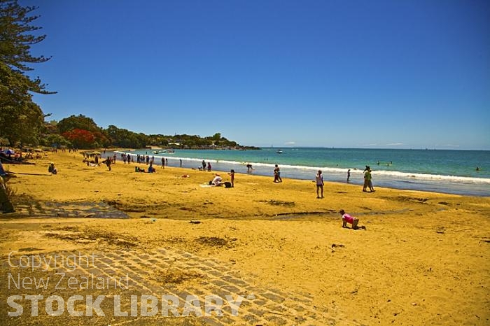 Auckland North Shore;Takapuna;Pohutukawa tree;sun bathers;crowds;boating;Beach;blue sea;blue sky;sandy beach;homes;swimming;Takapuna;Takapuna Beaches;East Coast Bays Beaches;East Coast Bays;New Zealand photography