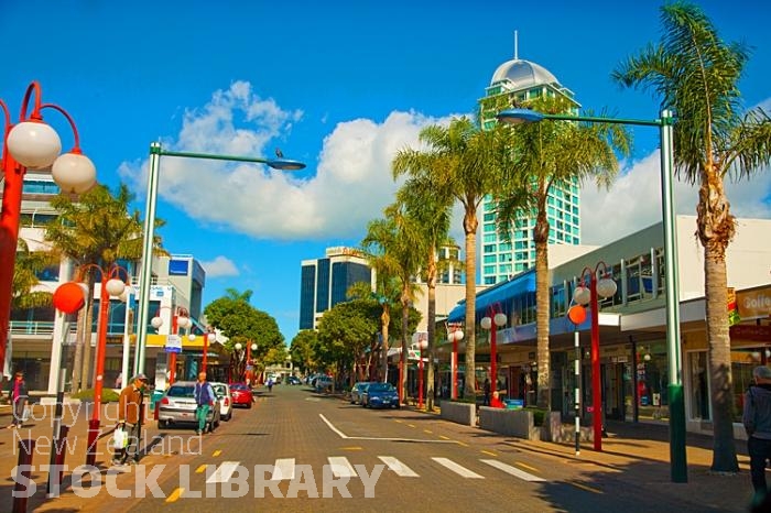 Auckland North Shore;Takapuna;Hurstmere Rd;Takapuna;palm trees;street lights;pedestrian crossing;New Zealand photography