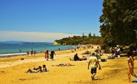 Auckland_North_Shore;Takapuna;Pohutukawa_tree;sun_bathers;crowds;boating;Beach;b