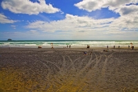Auckland;Muriwai;Muriwai_beach;West_Coast_Beaches;sea_fishing;fishing;angling;bo