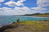 Auckland;Muriwai;Muriwai_beach;West_Coast_Beaches;sea_fishing;fishing;angling;bo