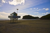 Auckland;Bethells_Beach;fun_in_the_water;West_Coast_Beaches;sea_fishing;fishing;