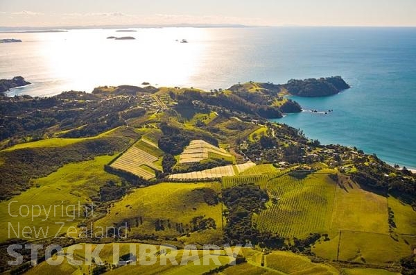 Aerial;Waiheke Island;Oneroa;Ostend;Omiha;OnetangiBeach;Onetangi;Palm Beach;vineyard;vineyards;Ferry;ferries;Tamaki Strait;Yachting;kayaking;Harbourfishing;fishing;boating;speed boating;blue sky;blue sea;Beach;sandy beach;homes;bach;bachs;swimming;bush;native forest;tramping tracks;New Zealand photography