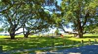 Ohope_Playground;Ohope_Beach;Ohiwa_Harbour;Bay_of_plenty;blue_sea;blue_sky;sandy