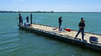 Omokoroa_Beach;Bay_of_plenty;blue_sea;blue_sky;sandy_beaches;sea;sea_fishing;har