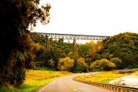 Mangaweka;Rangitikei_Region;bush;native_forrest;Rangitikei_River;autumn_colours;