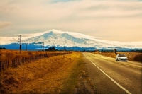 Waiouru;Tongariro_National_Park;Waiouru;Timber;timber_industry;river;Trout_Fishi