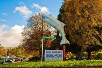 Taupo;Giant_Trout_Sign;Trout_Fishing;South_Waikato;Lake_Taupo;Waikato_river;jet_