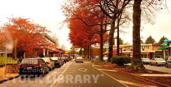 Tokoroa;South Waikato;agricultural;agricultural centre;Timber;timber industry;Rolly Munro Sculptures;South Waikato District Council Building;Pureora Forest;Maori carving;clock tower;Down Town;sculptures;murals;civic sculptures;Autumn Colours