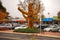 Tokoroa;South_Waikato;agricultural;agricultural_centre;Timber;timber_industry;Ro