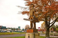 Tokoroa;South_Waikato;agricultural;agricultural_centre;Timber;timber_industry;Ro