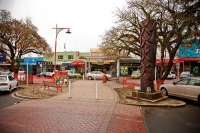 Tokoroa;South_Waikato;agricultural;agricultural_centre;Timber;timber_industry;Ro