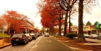 Tokoroa;South_Waikato;agricultural;agricultural_centre;Timber;timber_industry;Ro