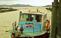 Coromandel;sandy_beaches;bachs;holiday_homes;blue_sky;blue_sea;bush;native_forre