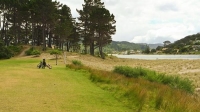 Pauanui;Coromandel;sandy_beaches;bachs;holiday_homes;blue_sky;blue_sea;bush;nati