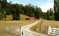 Ruatoria;Shearing_Shed