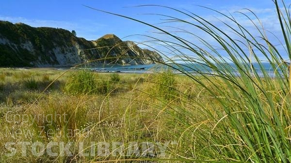 Tolaga Bay;Eastland;bush;native forrest;golden sands;bluffs;Uawa River;cliffs;wharf;sandy beaches;sand dunes;wharf;Beach grass;reinforcing dunes;Beach grass;dunes