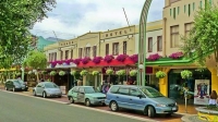 Hastings;Hawkes_Bay;suburburban;Gardens;palms;palm_trees;Art_Deco;lamp_posts;scu