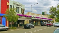 Hastings;Hawkes_Bay;suburburban;Gardens;palms;palm_trees;Art_Deco;lamp_posts;scu