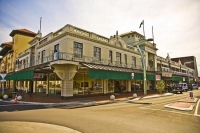 Hastings;Hawkes_Bay;suburburban;Gardens;palms;palm_trees;Art_Deco;lamp_posts;scu