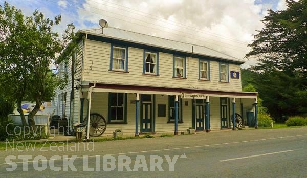 Hawkes Bay Coast;Wimbledon;bush;native forrest;Tavern