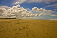 Hawkes_Bay_Coast;Porangahau;bush;native_forrest;golden_sands;bluffs;River;cliffs