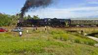 Napier;Hawkes_Bay;Steam_Train;bridge;bush