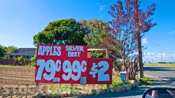 Levin;Kapiti Coast;War Memorial;horticulture;agriculture;market gardens;Tararua Ranges;vegetable growing;Blue sky;blue sea;tramping tracks;Fishing;boating;New Zealand photography;sculptures;apples;tomatoes;vegetables