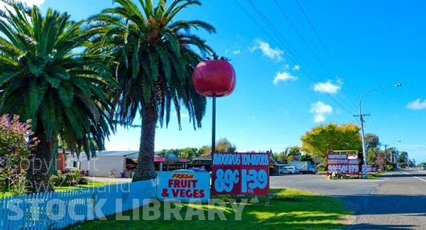 Levin;Kapiti Coast;War Memorial;horticulture;agriculture;market gardens;Tararua Ranges;vegetable growing;Blue sky;blue sea;tramping tracks;Fishing;boating;New Zealand photography;sculptures;apples;tomatoes;vegetables