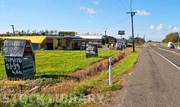 Levin;Kapiti Coast;War Memorial;horticulture;agriculture;market gardens;Tararua Ranges;vegetable growing;Blue sky;blue sea;tramping tracks;Fishing;boating;New Zealand photography;sculptures;apples;tomatoes;vegetables