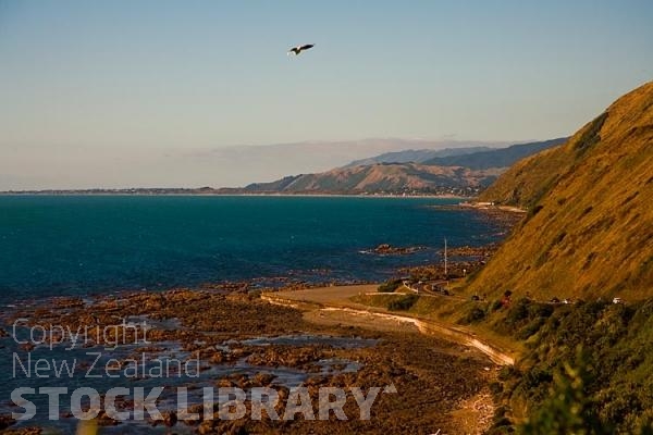 Pukerau Bay;Kapiti Coast;Tararua Ranges;vegetable growing;Blue sky;tramping tracks;Fishing;boating;New Zealand photography;cliffs;blue sea;State highway 1;sea gull