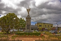 Feilding;Manawatu;agriculture;agricultural_centre;agriculture;clock_tower;church