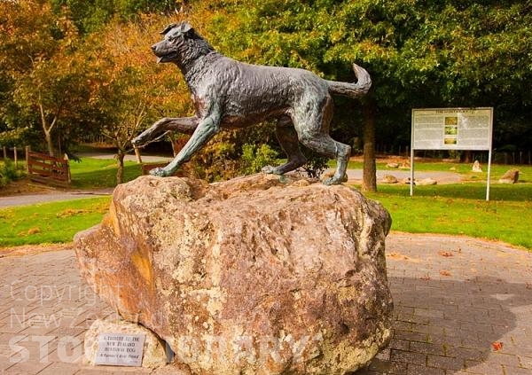 Hunterville;Manawatu;Huntaway;Huntaway dogs;sculptures;dog sculpture;sheep sculpture;Huntaway Dog Statue