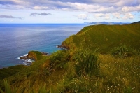 Cape_Reinga;Northland;rocky_shoreline;bluffs;cliffs;blue_sea;Flax;Spirits_Bay