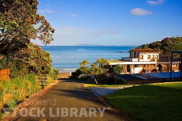 Coopers Beach;Northland;sand dunes;sandy beaches;bachs;holiday homes;bush;native forrest;golden sands;blue sky;blue sea;motel;hotel;San Marino hotel;Pohutakawa tree