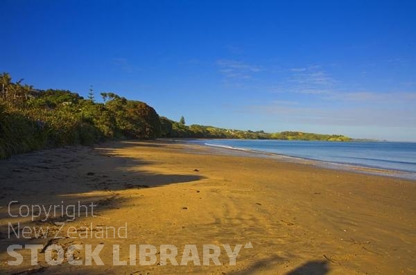 Coopers Beach;Northland;sand dunes;sandy beaches;bachs;holiday homes;bush;native forrest;golden sands;blue sky;blue sea;Pohutakawa trees