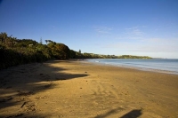 Coopers_Beach;Northland;sand_dunes;sandy_beaches;bachs;holiday_homes;bush;native