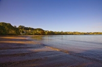 Coopers_Beach;Northland;sand_dunes;sandy_beaches;bachs;holiday_homes;bush;native