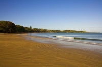 Coopers_Beach;Northland;sand_dunes;sandy_beaches;bachs;holiday_homes;bush;native