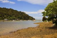 Mangonui;Northland;sandy_beaches;bachs;holiday_homes;bush;native_forrest;golden_