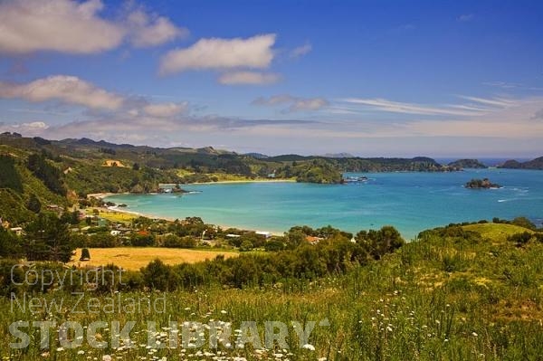 Matauri Bay Coast;Northland;sand dunes;sandy beaches;bachs;holiday homes;bush;native forrest;golden sands;blue sky;blue sea;Pohutakawa trees;Te Ngaire Bay;wild flowers