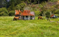 Matauri_Bay_Coast;Northland;sand_dunes;sandy_beaches;bachs;holiday_homes;bush;na