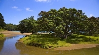 Matauri_Bay_Coast;Northland;sand_dunes;sandy_beaches;bachs;holiday_homes;bush;na